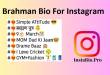 Brahman Bio For Instagram